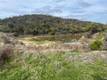 8445 OLD DIRT ROAD KELSEYVILLE, CA 95451