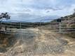 8445 OLD DIRT ROAD KELSEYVILLE, CA 95451