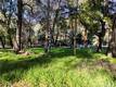 2999 BUCKINGHAM DR. KELSEYVILLE, CA 95451