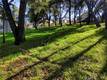 2999 BUCKINGHAM DR. KELSEYVILLE, CA 95451