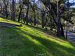2999 BUCKINGHAM DR. KELSEYVILLE, CA 95451