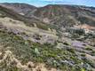 162 MULE SKINNER CLEARLAKE OAKS, CA 95423