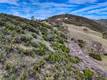 162 MULE SKINNER CLEARLAKE OAKS, CA 95423