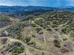 162 MULE SKINNER CLEARLAKE OAKS, CA 95423