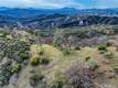 162 MULE SKINNER CLEARLAKE OAKS, CA 95423