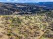 162 MULE SKINNER CLEARLAKE OAKS, CA 95423