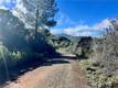 7205 GRANDE VISTA DRIVE KELSEYVILLE, CA 95451