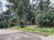 7166 BUTTE COURT NICE, CA 95464