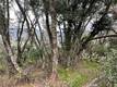 7166 BUTTE COURT NICE, CA 95464