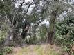 7166 BUTTE COURT NICE, CA 95464