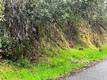 7022 BLACK OAK STREET NICE, CA 95464