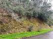 7022 BLACK OAK STREET NICE, CA 95464