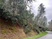 7022 BLACK OAK STREET NICE, CA 95464