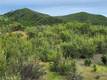 10480 SKY HIGH RIDGE ROAD LOWER LAKE, CA 95457