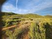 10480 SKY HIGH RIDGE ROAD LOWER LAKE, CA 95457