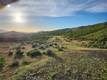 10480 SKY HIGH RIDGE ROAD LOWER LAKE, CA 95457