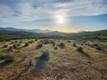 10480 SKY HIGH RIDGE ROAD LOWER LAKE, CA 95457