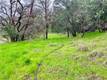 6590 HOTEL ROAD LUCERNE, CA 95458
