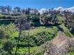 2960 CRESTVIEW CLEARLAKE, CA 95422