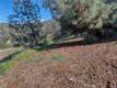 2960 CRESTVIEW CLEARLAKE, CA 95422