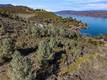 11390 POINT LAKEVIEW KELSEYVILLE, CA 95451
