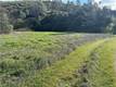 25156 E STATE HWY 20 CLEARLAKE OAKS, CA 95423