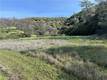 25156 E STATE HWY 20 CLEARLAKE OAKS, CA 95423