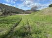 25156 E STATE HWY 20 CLEARLAKE OAKS, CA 95423