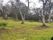 5877 ARMIJO CLEARLAKE, CA 95422