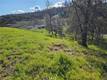 10167 BELL LOWER LAKE, CA 95457