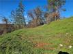 10167 BELL LOWER LAKE, CA 95457