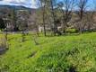 10167 BELL LOWER LAKE, CA 95457
