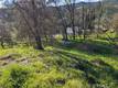 10167 BELL LOWER LAKE, CA 95457