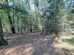 16303 NIBLICK COBB, CA 95426
