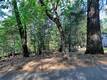 16303 NIBLICK COBB, CA 95426