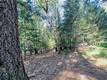 16303 NIBLICK COBB, CA 95426