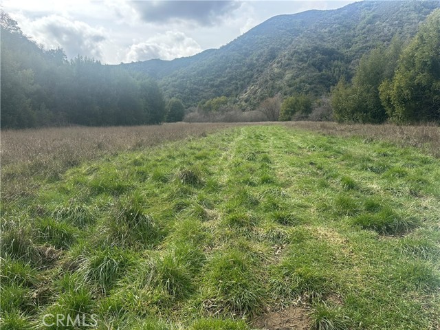 9000 SCOTTS VALLEY ROAD UPPER LAKE, CA 95485