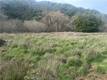 9000 SCOTTS VALLEY ROAD UPPER LAKE, CA 95485