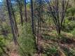 15347 WESTERN MINE MIDDLETOWN, CA 95461