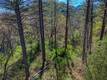 15347 WESTERN MINE MIDDLETOWN, CA 95461