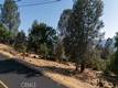 15781 LITTLE PEAK HIDDEN VALLEY LAKE, CA 95467