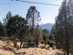 15781 LITTLE PEAK HIDDEN VALLEY LAKE, CA 95467