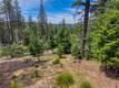8713 FOX COBB, CA 95426