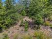 8713 FOX COBB, CA 95426
