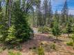 8713 FOX COBB, CA 95426