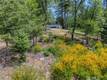 8713 FOX COBB, CA 95426