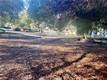 3086 12TH STREET CLEARLAKE, CA 95422