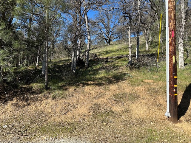 17509 CACHE CREEK CLEARLAKE OAKS, CA 95423