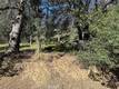17509 CACHE CREEK CLEARLAKE OAKS, CA 95423