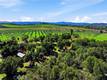 6495 JACOBSON ROAD KELSEYVILLE, CA 95451